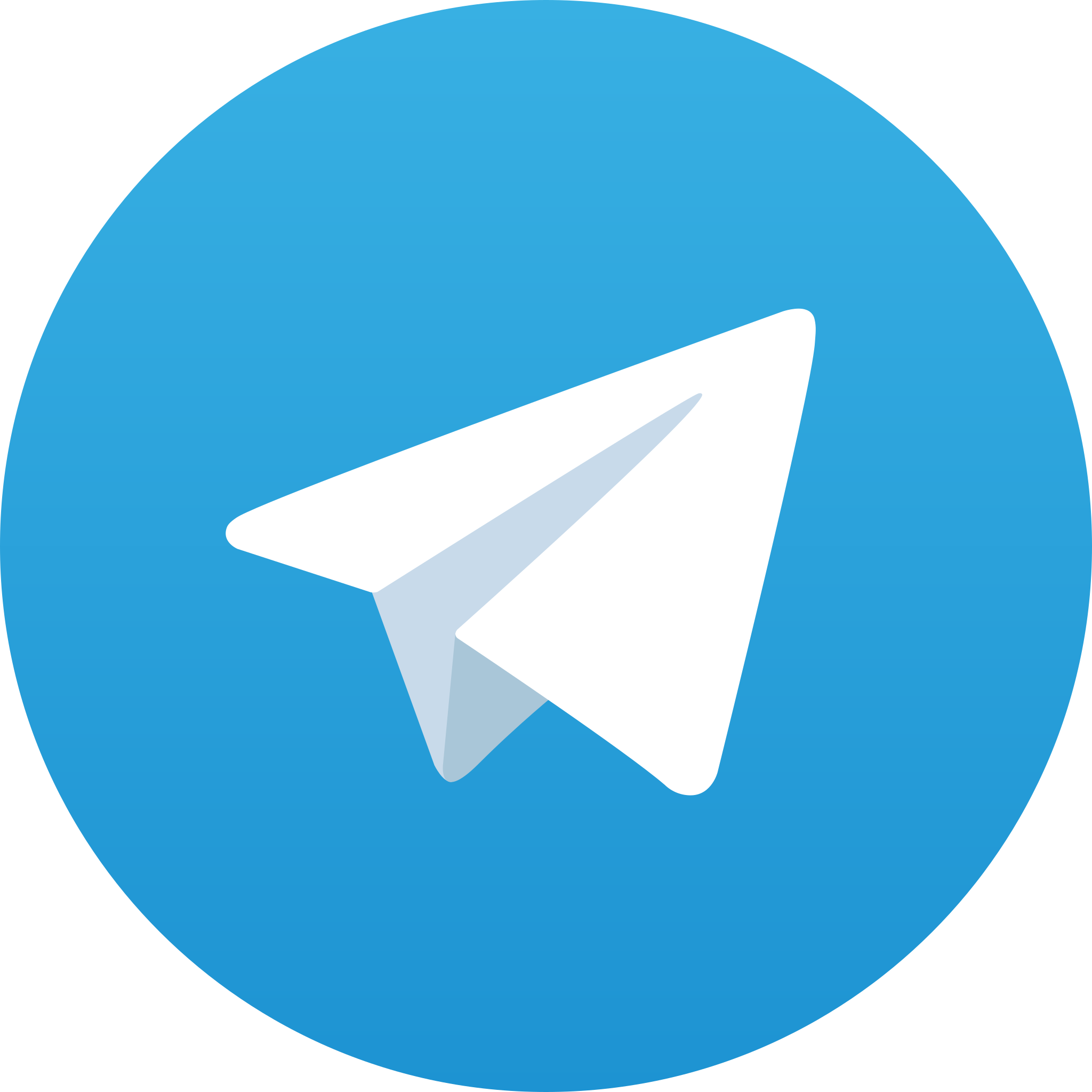 Seimbient Logo